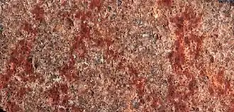 A cave wall with a number of abstract red lines drawn upon it