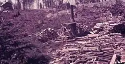 Clearing land & burning timber Sanshaw Mine 1936