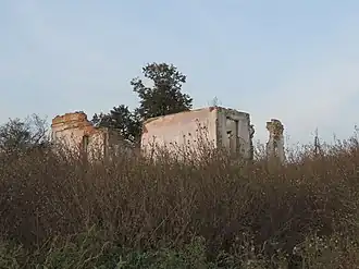 Ruins of the Pipile Popescu manor in Bușca