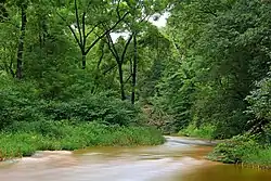 Photo of river surrounded by trees