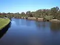 Cooks River, between Marrickville and Earlwood