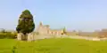View unto Coolaghmore Graveyard and church ruins where the sheela-na-gig was discovered