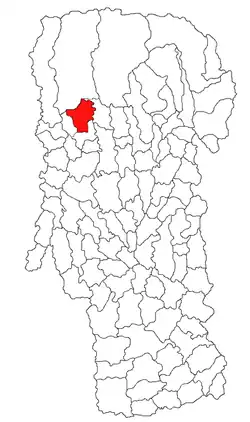 Location in Argeș County