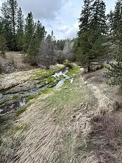 Coulee Creek at Brooks Road looking upstream