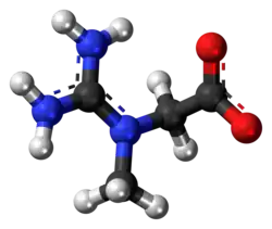 Ball and stick model of creatine