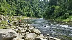 An image of the Cuyamel river curving around a bend into the right