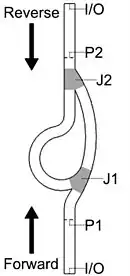 Schematic of a Tesla-type D-valve.