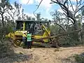 D6 5EX dozer (plant P3 – Swan Coastal 53), Moore River National Park, October 2013.
