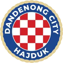 Dandenong City SC Logo