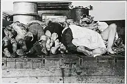 Civilians of the Lokka village killed on July 14 1944 being transported to the graveyard.
