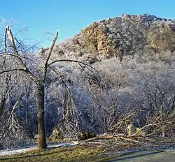 The image shows a layer of snow over the ground in New York, with several trees coated in ice. Storm King Mountain is visible in the background. The branches of those trees are sagging or are broken due to the weight of the ice.