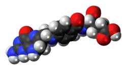 Space-filling model of the dihydrofolic acid molecule