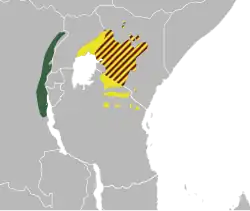 Subspecies reichenowi can be both found in south and west Kenya, in north Tanzania and in east Ouganda. subspecies.shellyae can be found alongside the eastern border of Democratic republic of the Congo. subspecies lathburyi can be found with subspecies reichenowi in kenya
