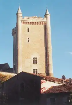 The 12th century keep of the Château de Morthemer