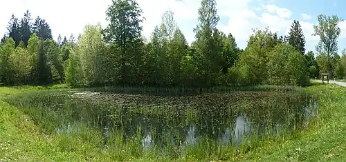 Village pond