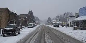 Downtown Bridgman along Lake Street