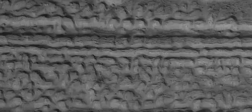 Close view of lineated valley fill (LVF) in valley, as seen by HiRISE under HiWish program. Linear valley flow is ice covered by debris. Lineated valley fill is generally considered to be and example of a glacier, as it involves the movement of ice.