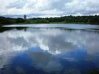 A lake surrounded by trees