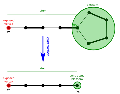 Example of a blossom