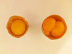 Comparison of an egg and a maxi egg with a double-yolk - opened (2/2)