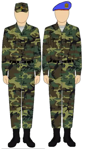 Egyptian Republican Guard camouflage uniform