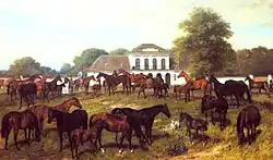 The herd of Fenékpuszta