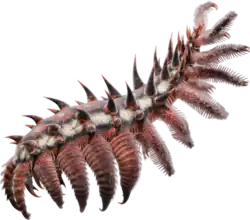 The luolishaniids from the Cambrian and Ordovician are possibly the closest fossil relatives of tardigrades. Entothryeos reconstruction shown.[55]