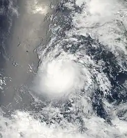 Tropical Storm Estelle at peak intensity on August&nbsp;6