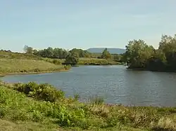 Meadow with ballon de Servance in the background