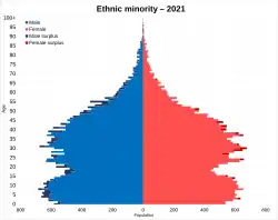 Ethnic minorities