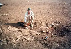 Bones being excavated by a person