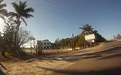 Roadside with cactuses and trees and a white building the background