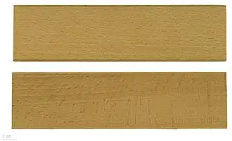 Fagus sylvatica wood – MHNT