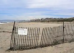 Photograph of a fence with a sign labelled "Snowy Plover Enclosure" that explains the reasons for the beach closure to the public