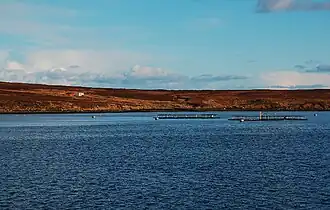A fish farm in Gutter Sound, at the western side of Fara
