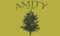 Flag of Amity, Arkansas