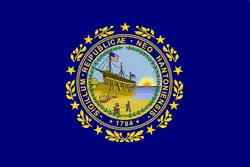 Flag of New Hampshire before standardization of seal, (1909–November 30, 1931)