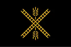 Flag of Newton, Kansas