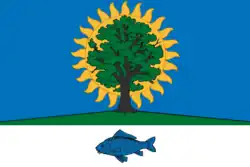 Flag of Novomichurinsk