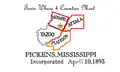 Flag of Pickens, Mississippi