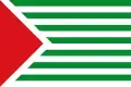 Flag of San Antonio del Tequendama