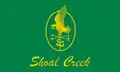 Flag of Shoal Creek, Alabama