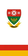 Flag of Váralja