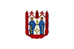 Flag of Zheleznodorozhny