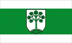 Flag of Telgte