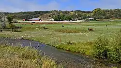 Stream with cows and a barn behind it