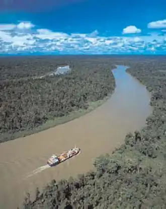 Cargo ship moving along a wide river with relatively flat forest stretching towards the horizon