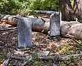 Graves on the old pioneer cemetery