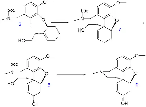 Galanthamine synthesis 2007 B