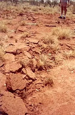 Impacts of the earthquake